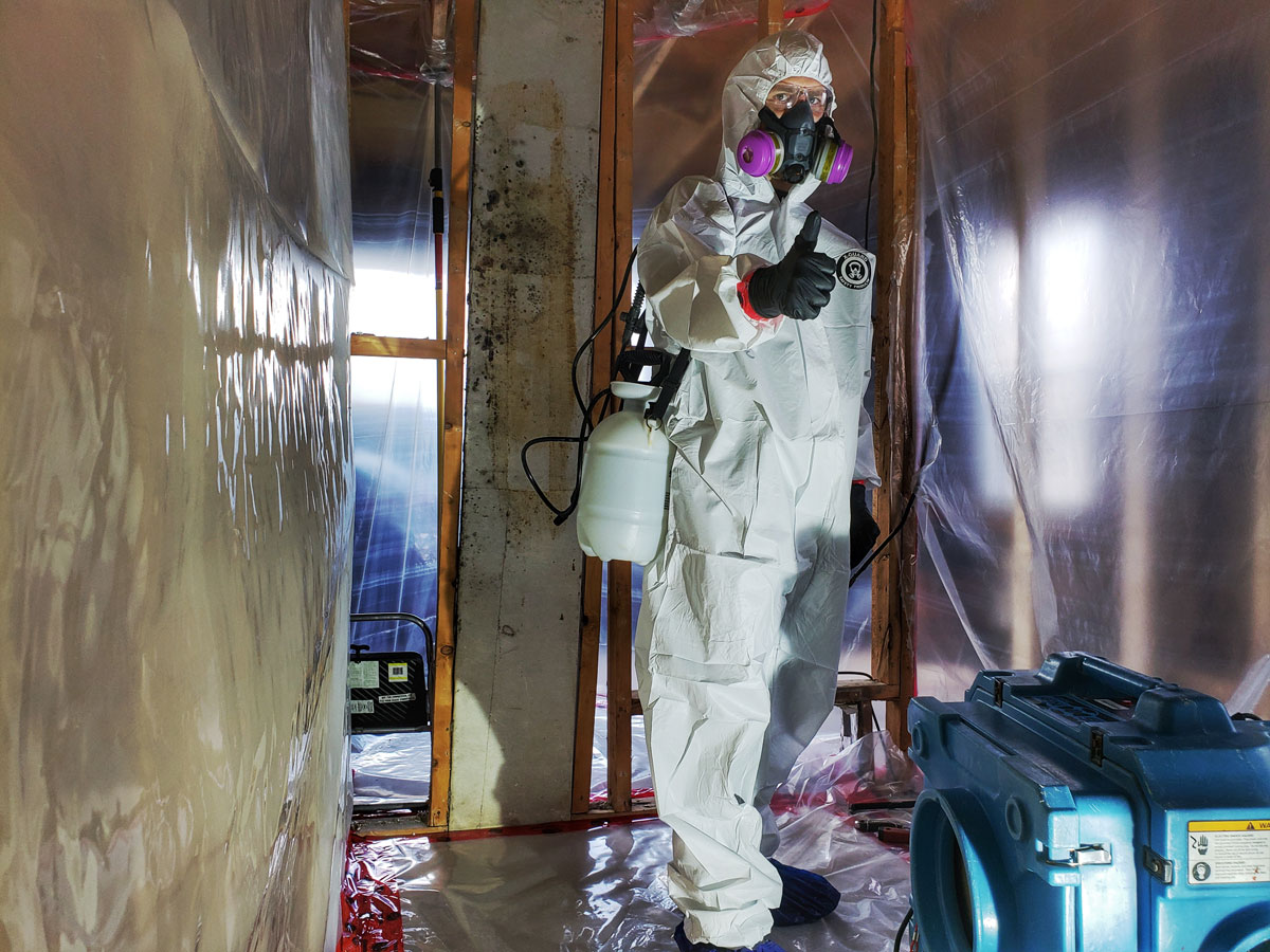cornwall mold inspection and removal