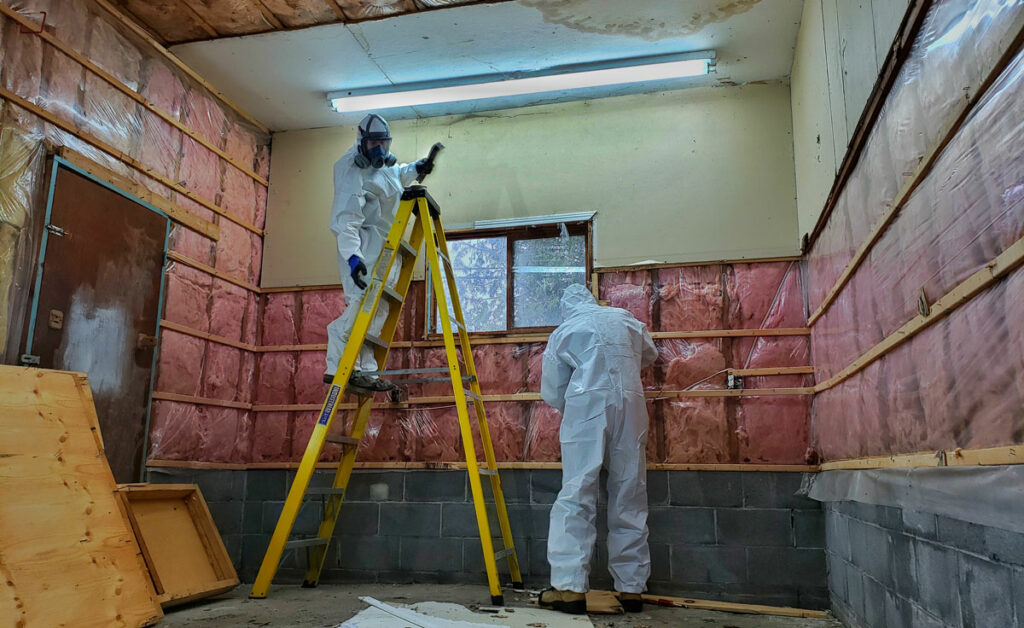 Gatineau Mold Inspection and Removal MoldInspection.ca