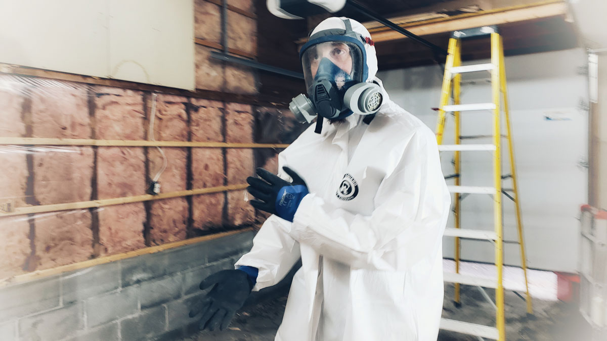 kanata mold inspection and mold removal