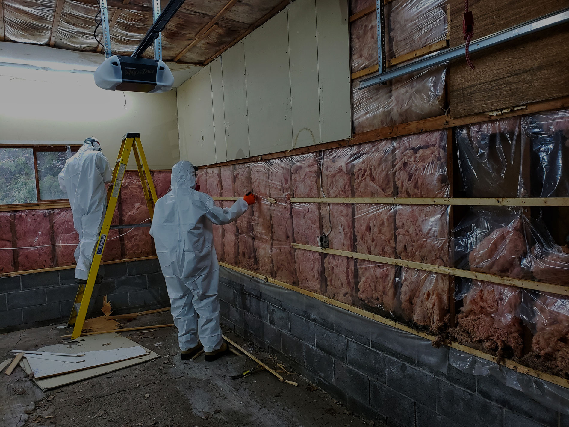 mold inspection removal