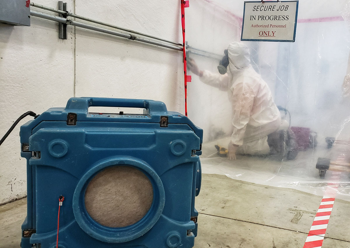 ottawa mold removal and inspection