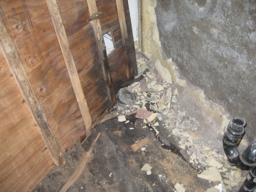 toxic black mold is a serious health hazard