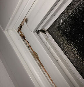The Health Risks of Mold Exposure - MoldInspection.ca