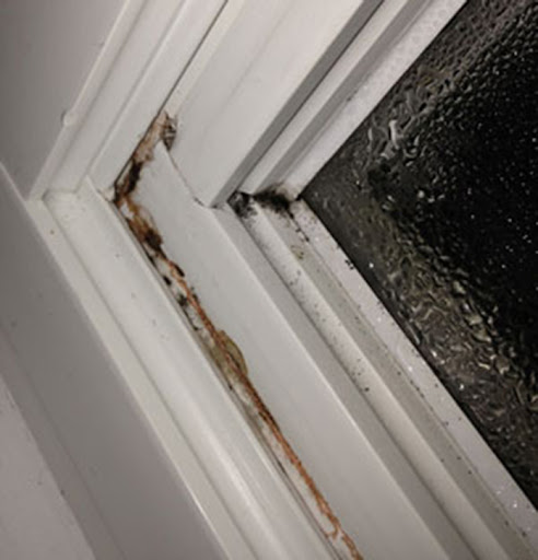 unaddressed window leaks or condensation buildup lead to mold growth