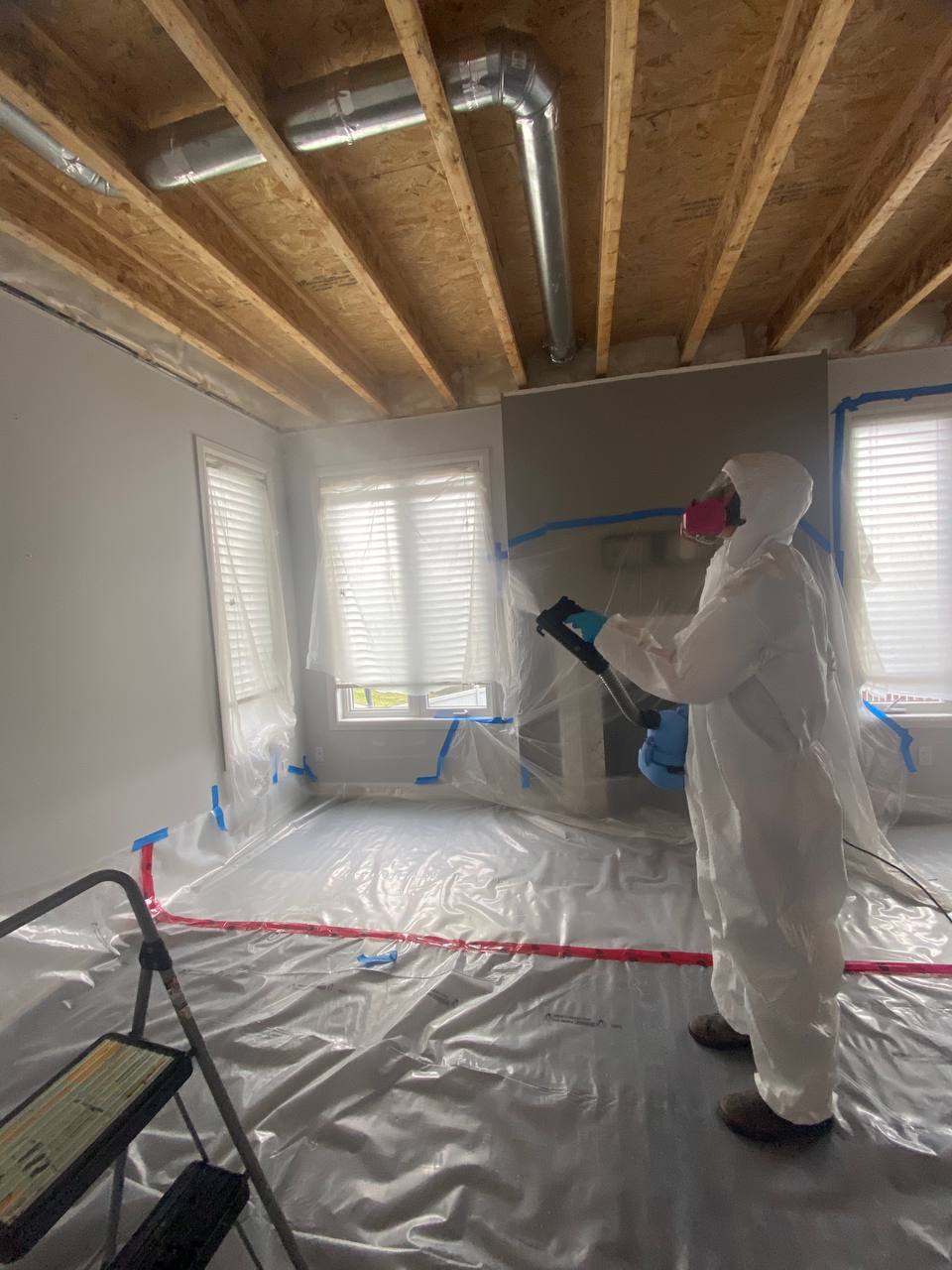 commercial mold removal