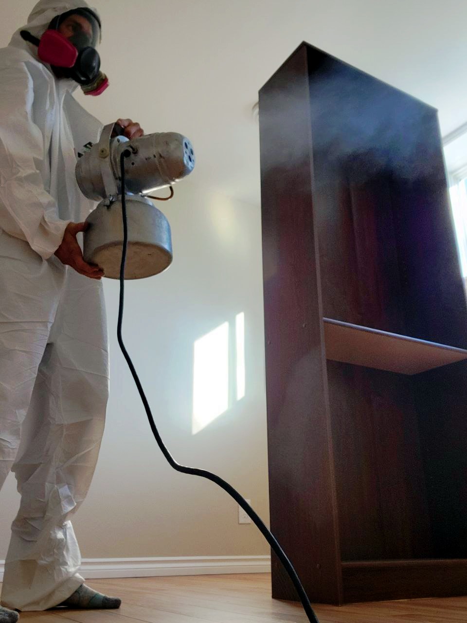 mold remediation