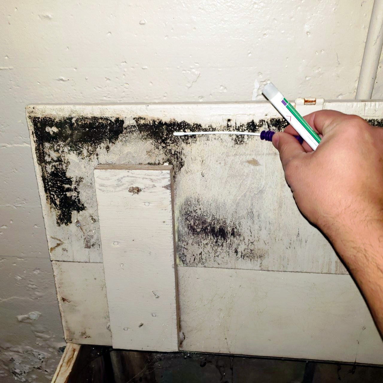 mold testing ontario quebec