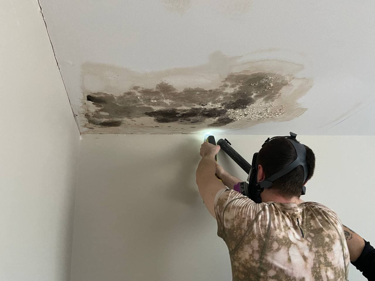 residential mold removal