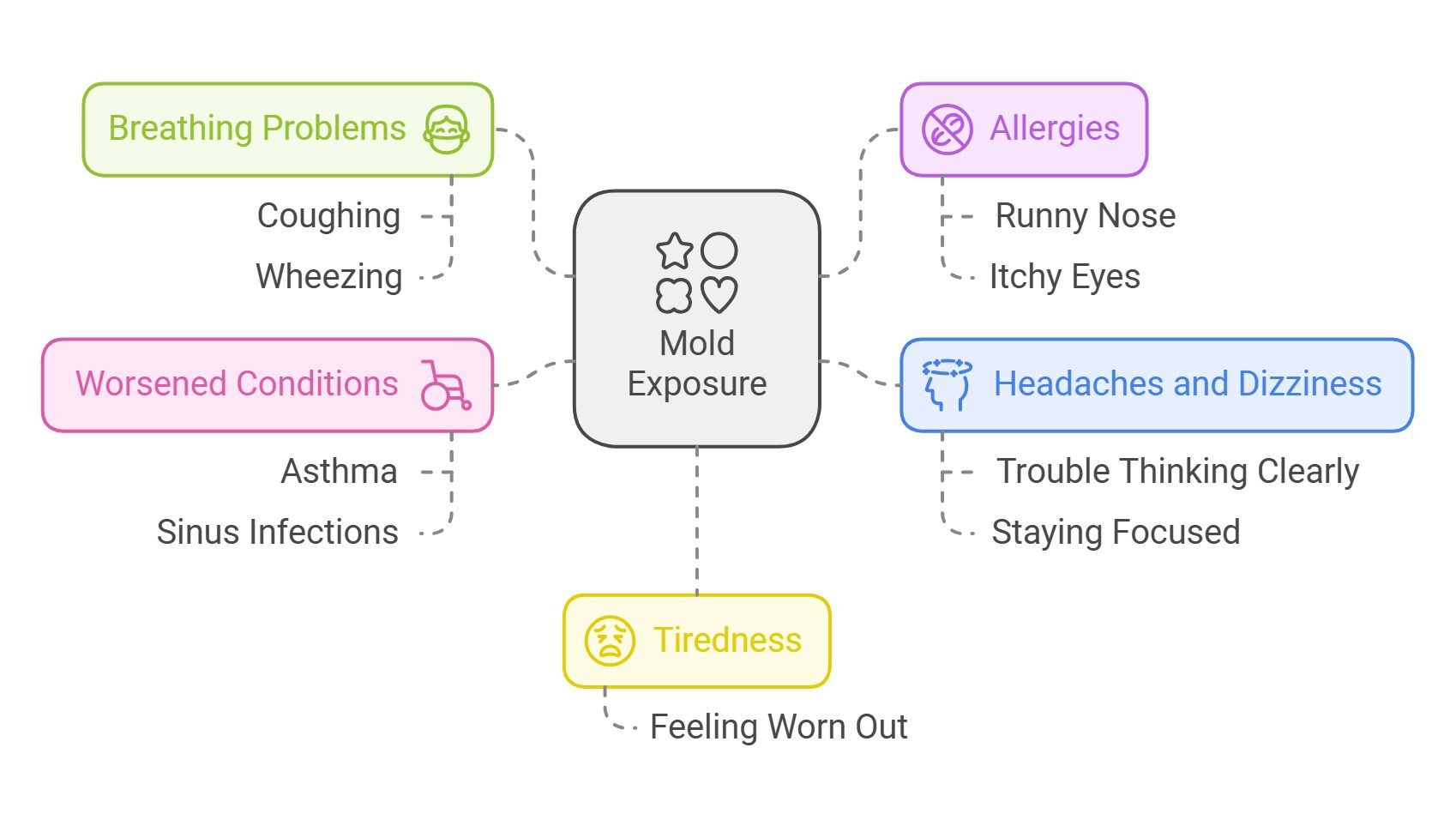 Understanding Toxic Mold Exposure Moldinspection Ca