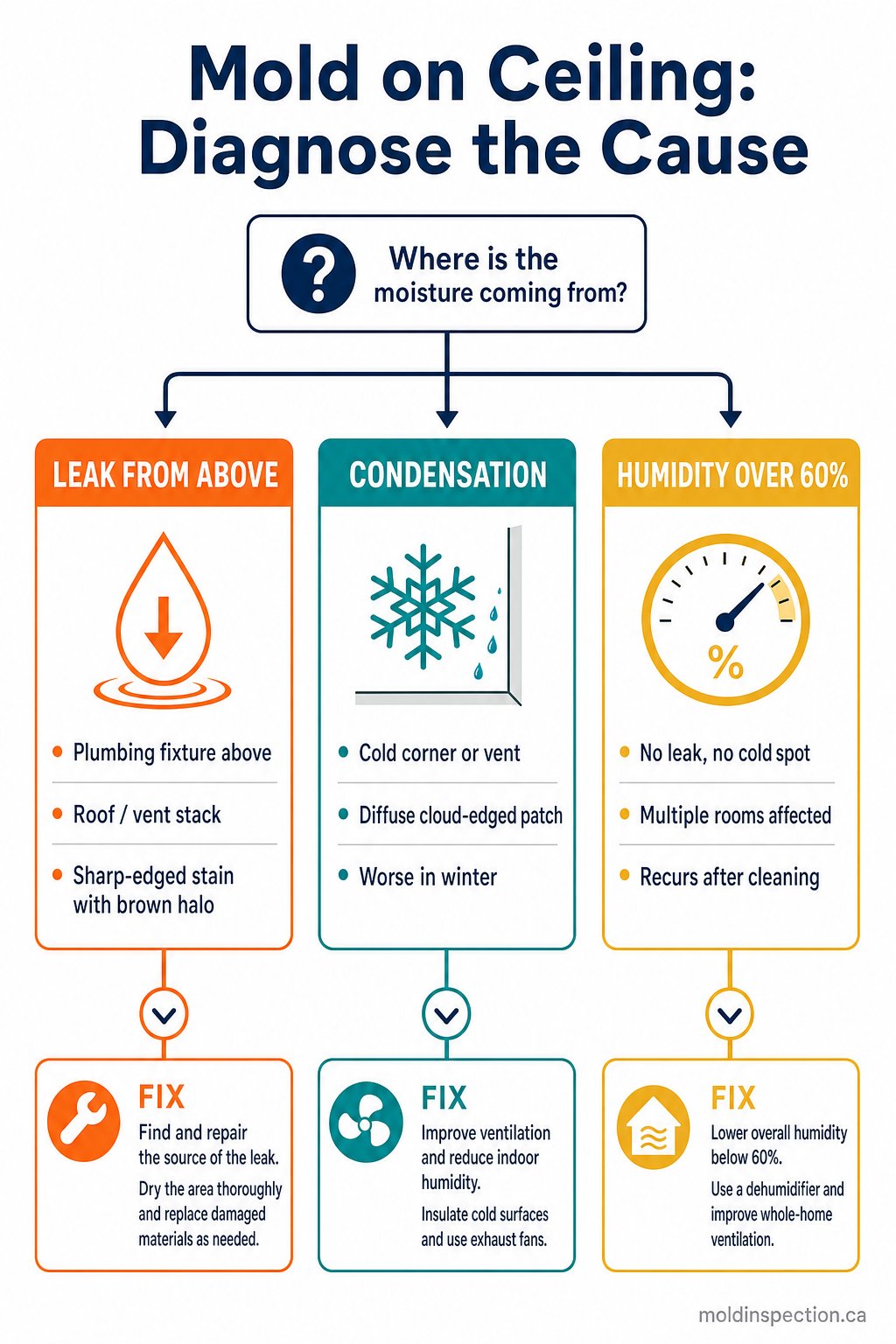 Decision-tree infographic titled Mold on Ceiling Diagnose the Cause showing three branching paths from the question Where is the moisture coming from leak from above condensation and humidity over sixty percent each with diagnostic clues and fix callouts