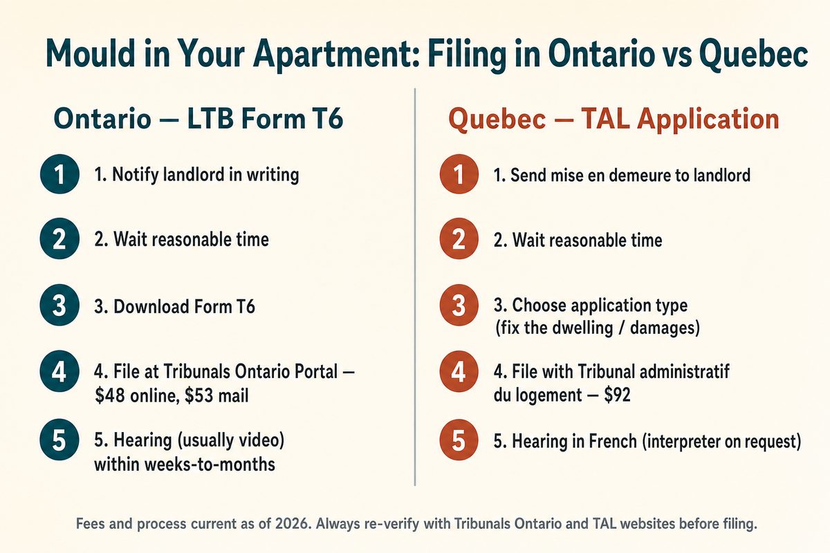 Side-by-side process flow showing Ontario LTB Form T6 filing steps (notify landlord, wait, download T6, file at Tribunals Ontario Portal for 48 dollars online or 53 mail, hearing by video) and Quebec TAL application steps (mise en demeure, wait, choose application type, file with Tribunal administratif du logement for 92 dollars, hearing in French)