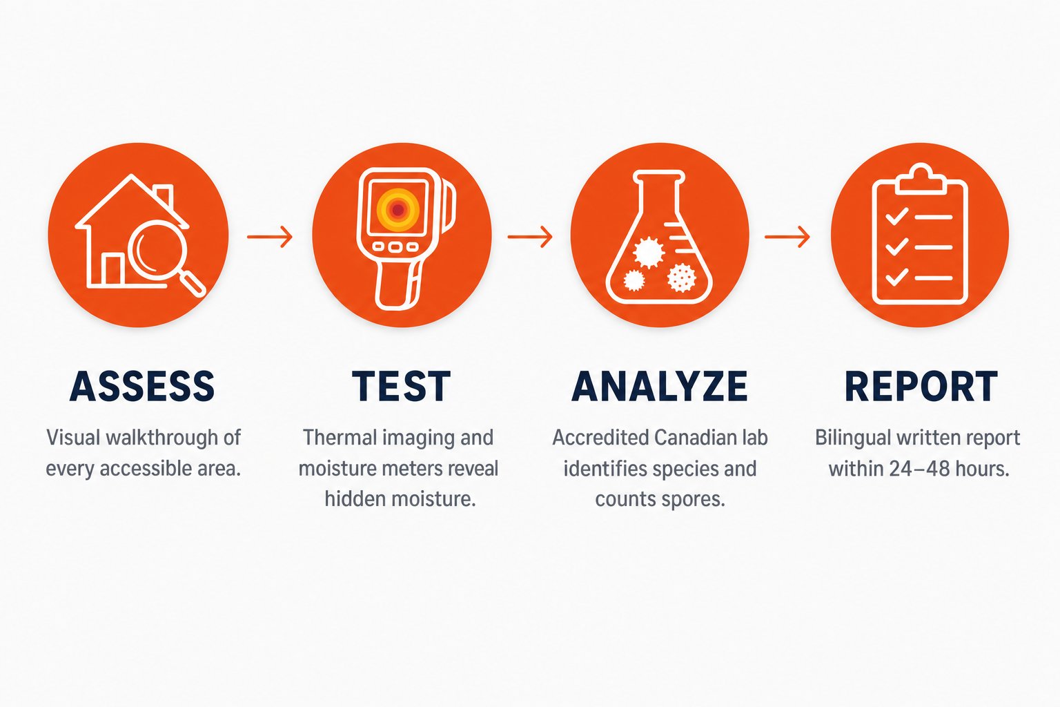 Four-step mold inspection process for Ottawa properties: assess, test, analyze, report
