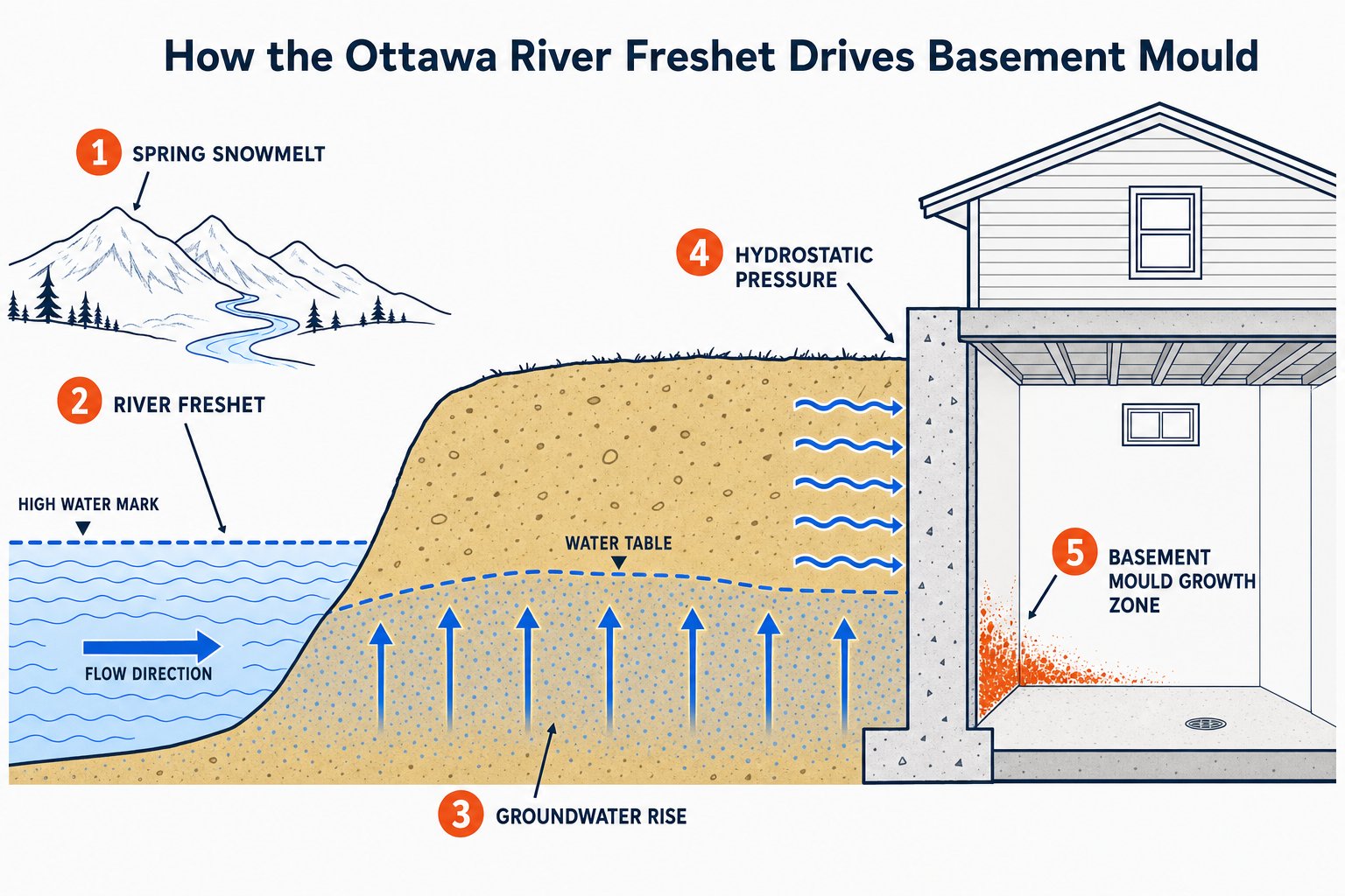 Diagram showing how the Ottawa River spring freshet drives basement mould growth via snowmelt, groundwater rise, and foundation hydrostatic pressure