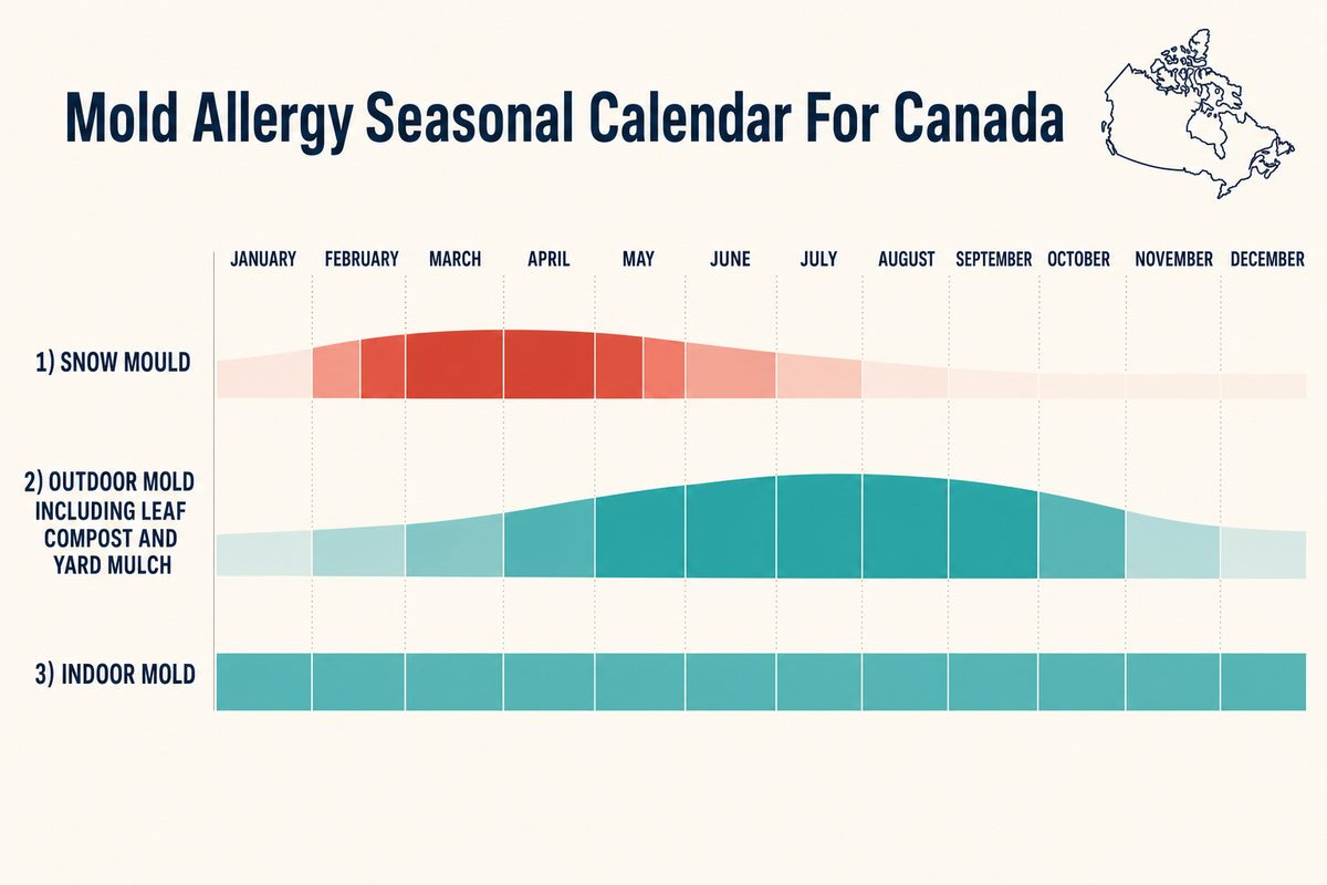 Canadian seasonal calendar showing snow mould peak from late February to early May