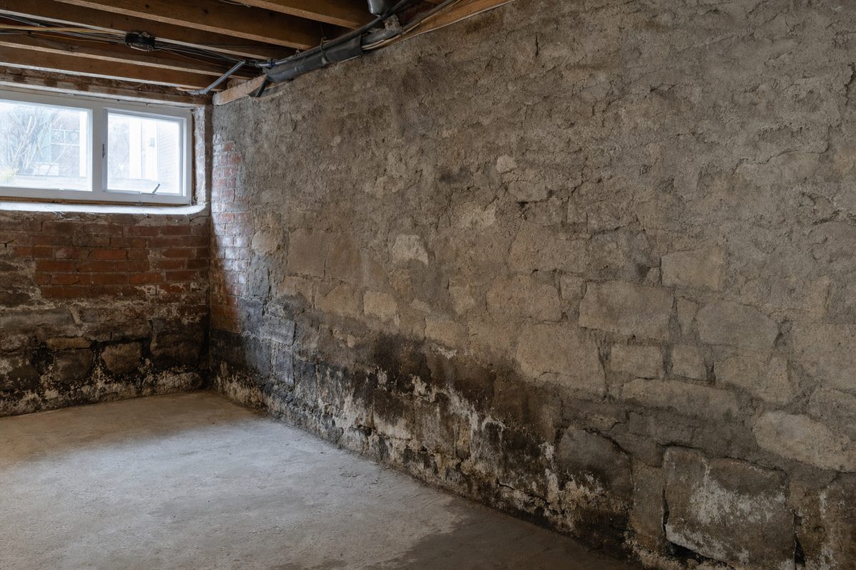 Rubble stone foundation wall in an older Toronto basement with a dark moisture tide line and mold growth near the floor